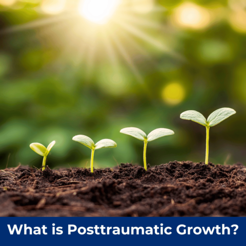 What is Posttraumatic Growth